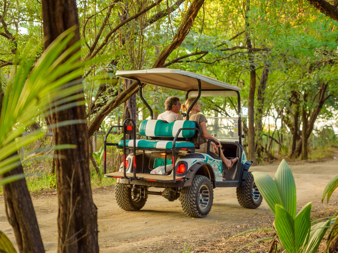 Earth Gear Golf Cart Rental Tamarindo景点图片