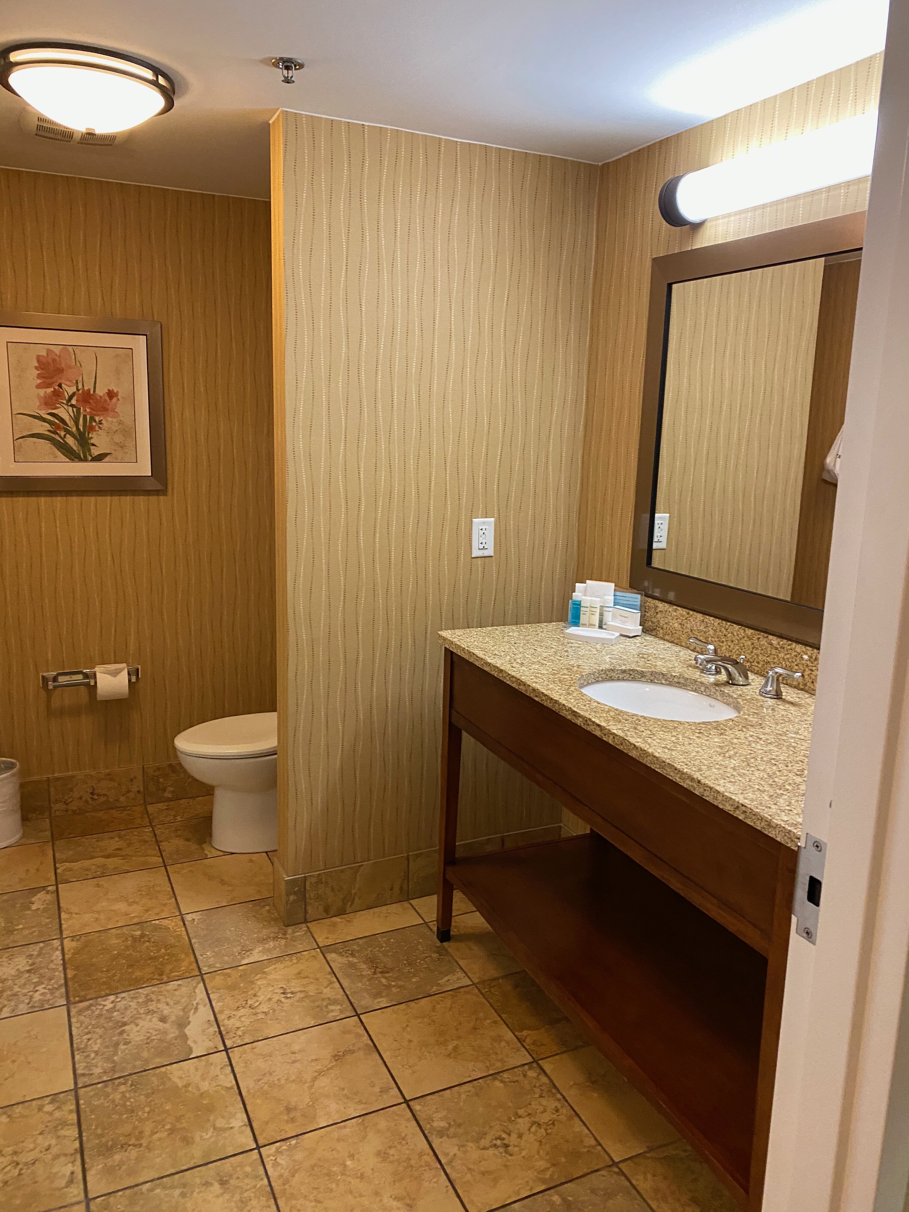 Hampton Inn Bangor-浴室