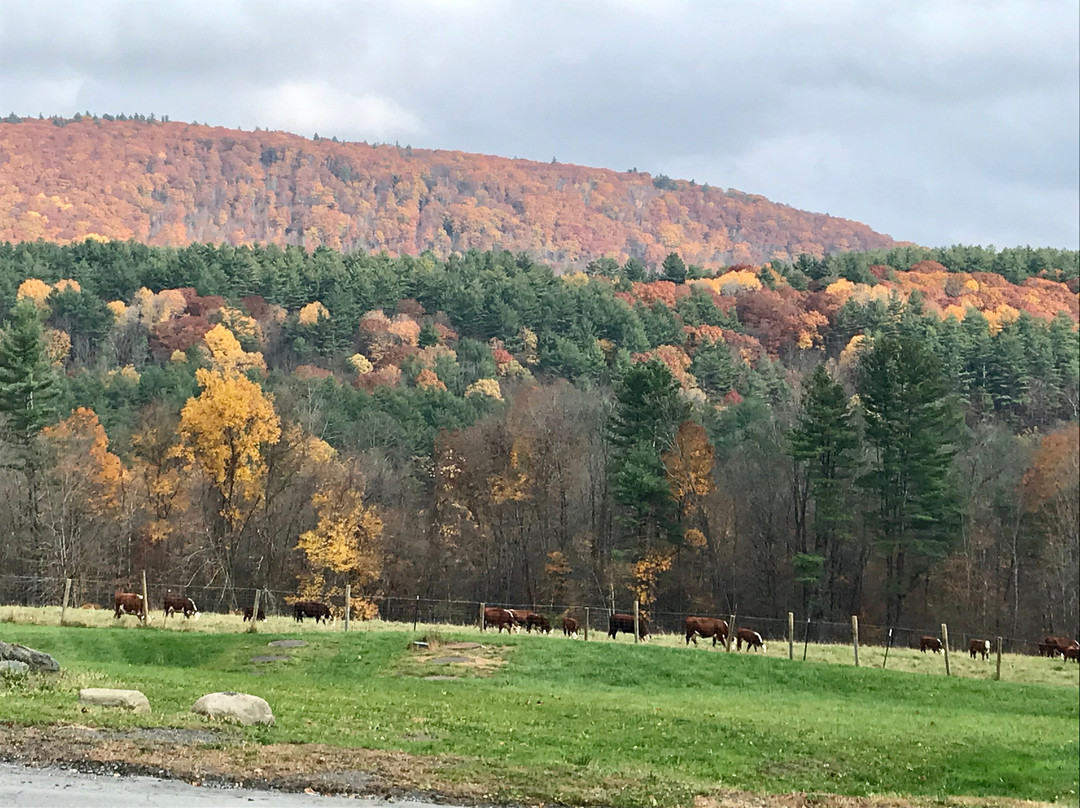 The Warfield House Inn主图