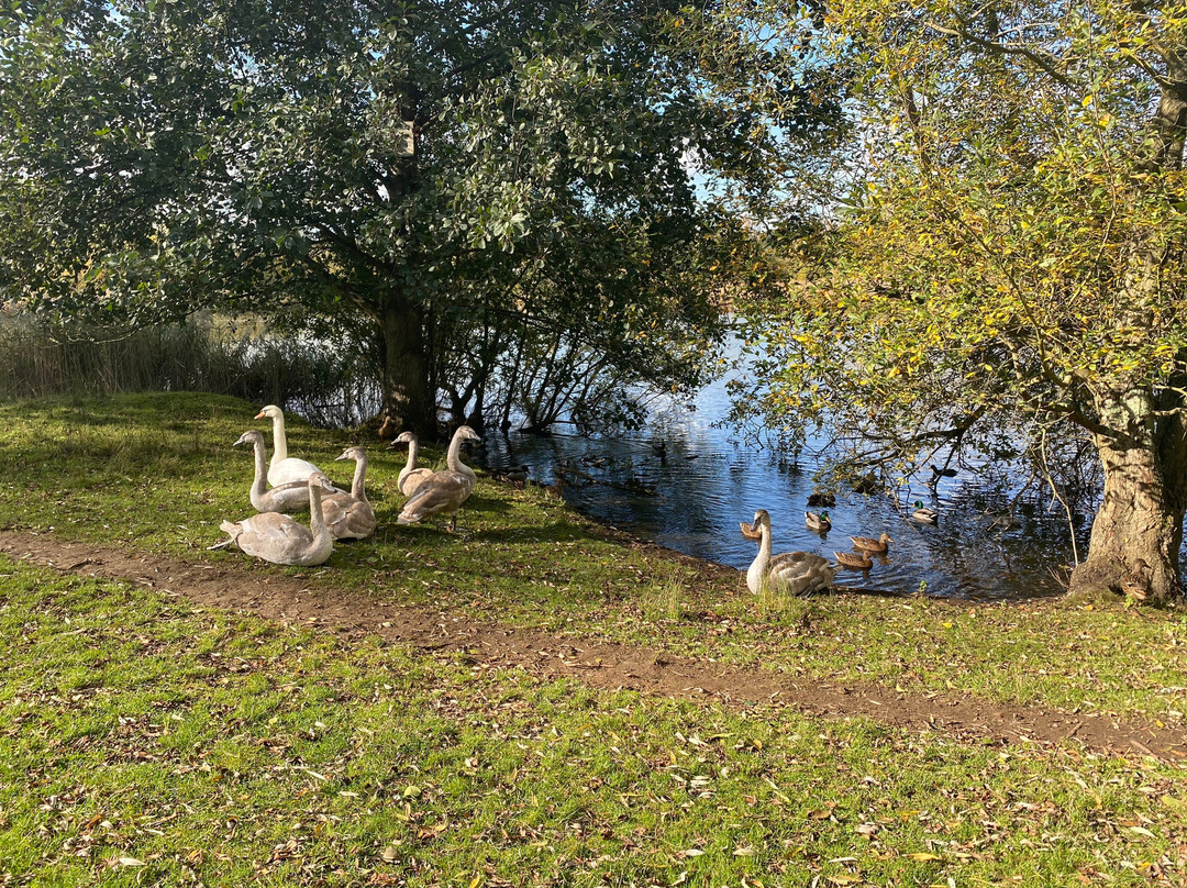 Great Stour Way景点图片