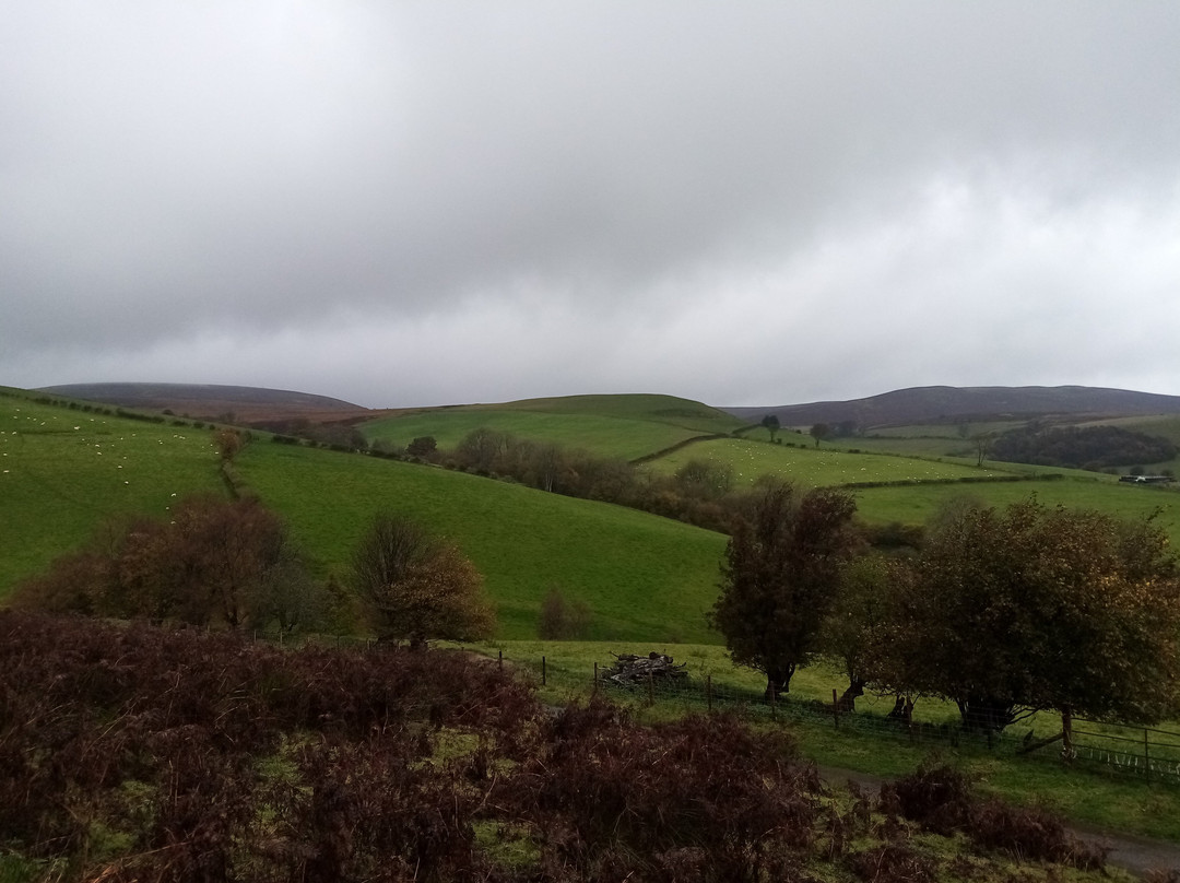 Bryngwyn旅游攻略图片