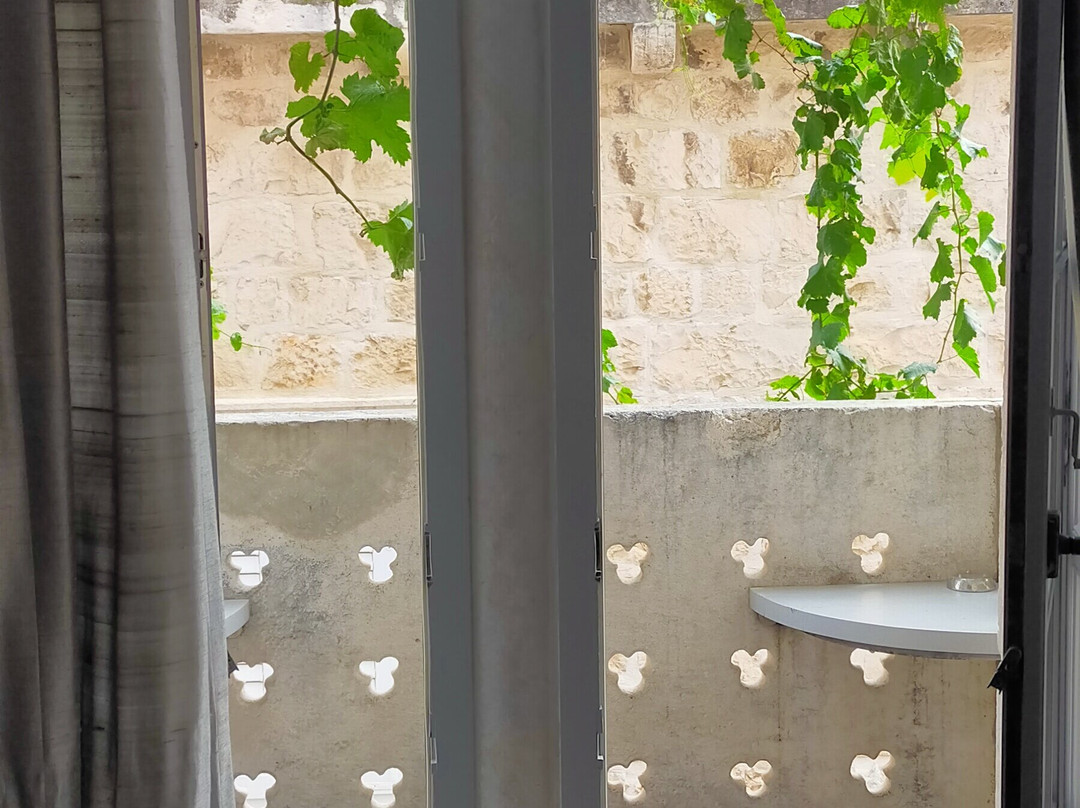 Prijeko Palace主图