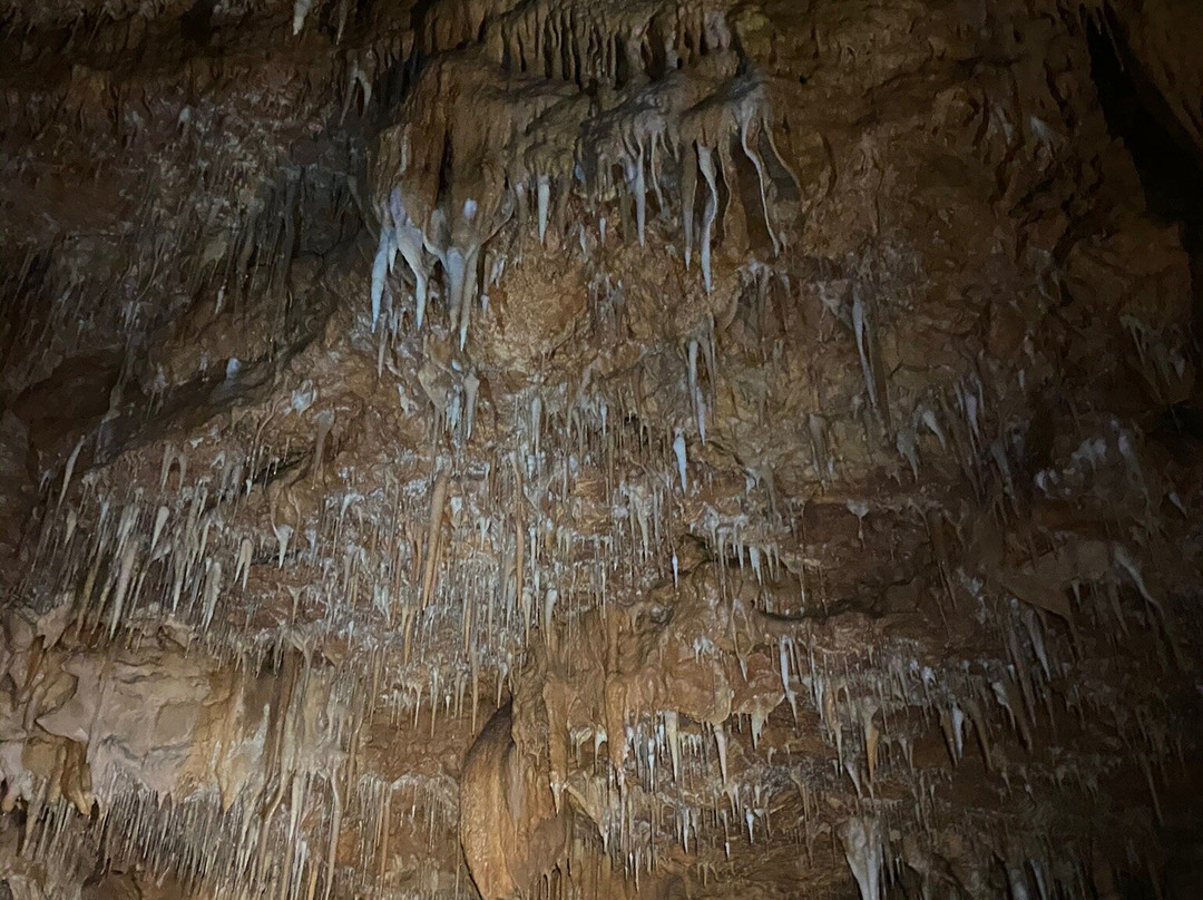 Grotte Saint-Marcel景点图片