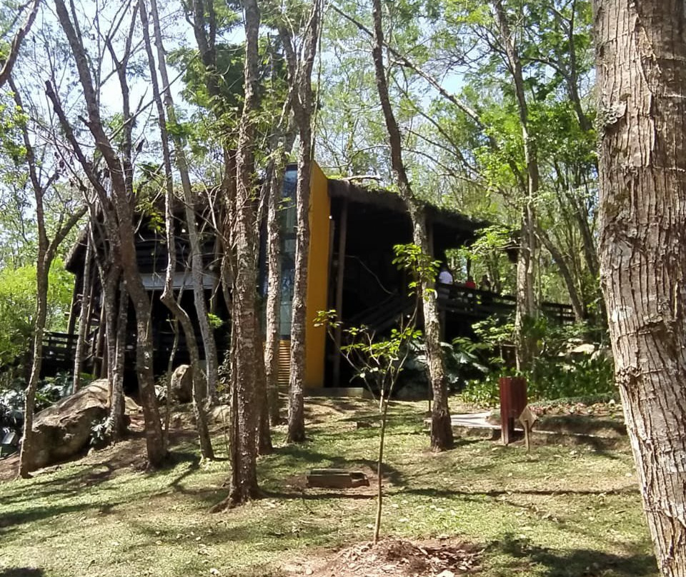 Parque Municipal da Pedra Montada景点图片