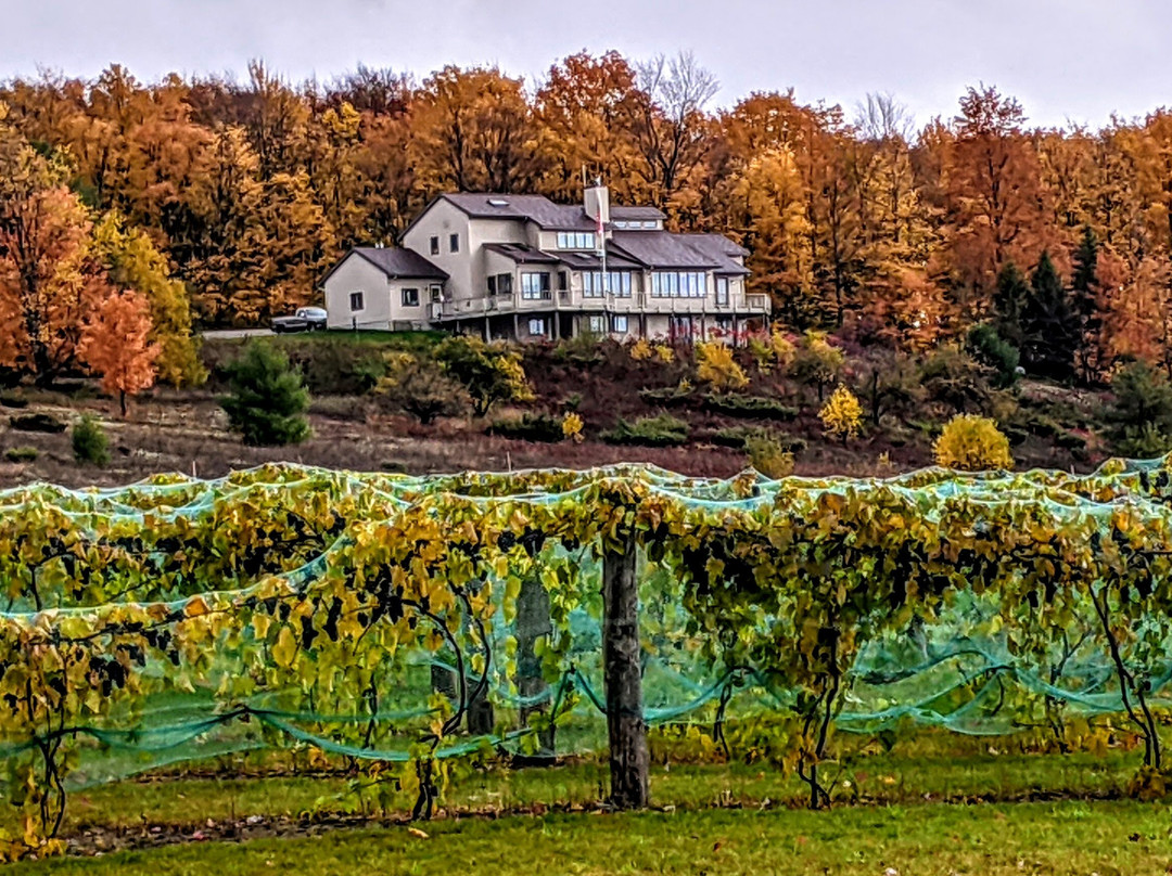 Crooked Vine Vineyard & Winery-Alanson必去景点