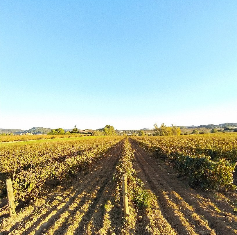 Hotel Sol i Vi主图