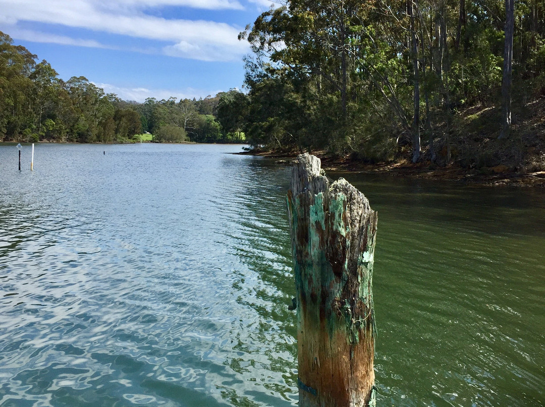 Wagonga Inlet Cruises景点图片