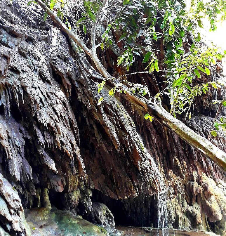 The Dales Hiking Trail-圣诞岛必去景点