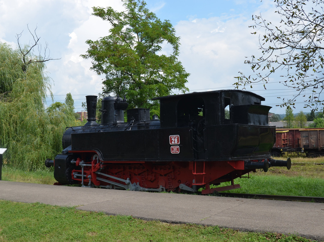 Muzeul de Locomotive (Steam Locomotive Museum)景点图片