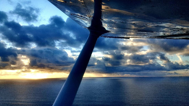 NYC Air Service-Linden必去景点