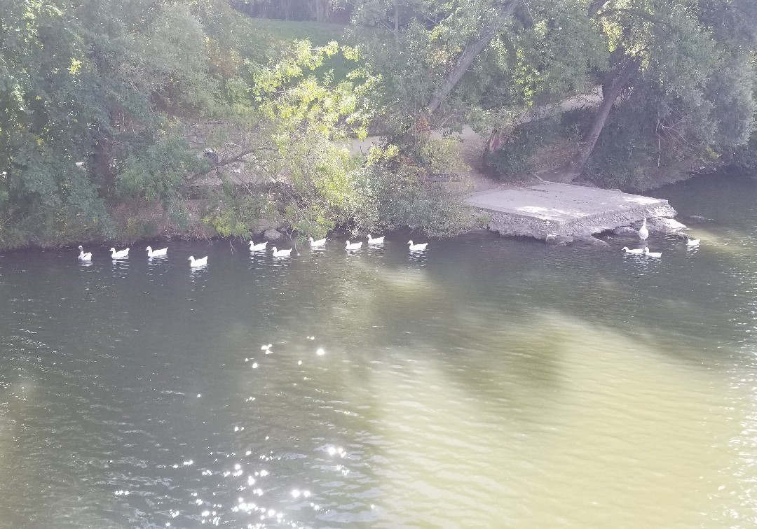 La Leyenda del Pisuerga-瓦拉杜利德必去景点