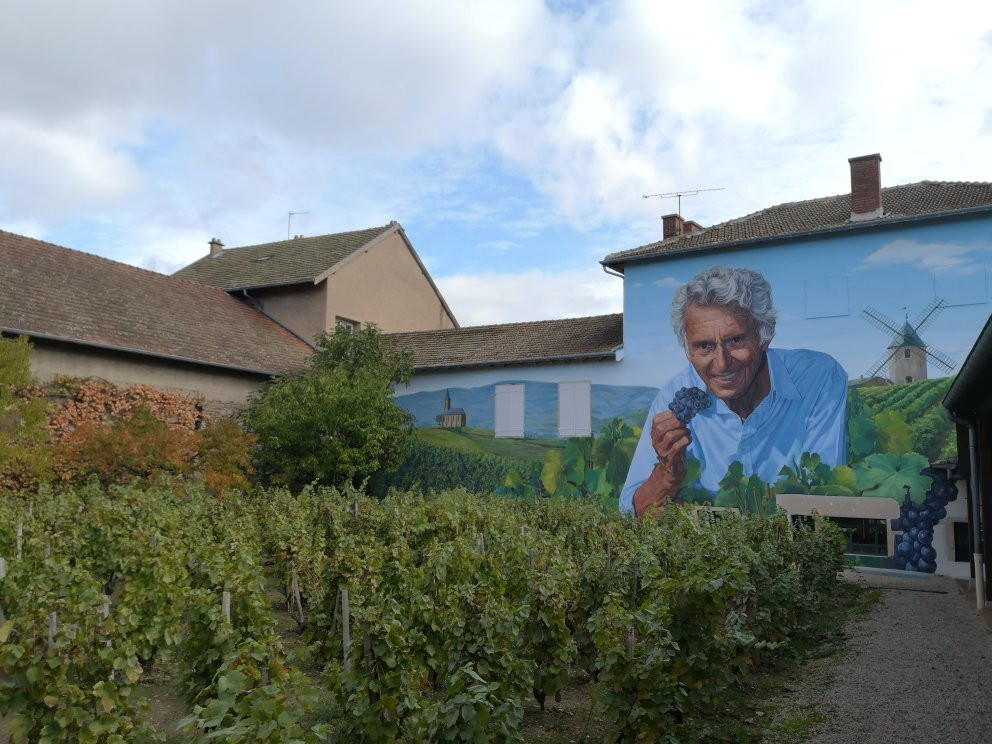 Hameau Duboeuf景点图片