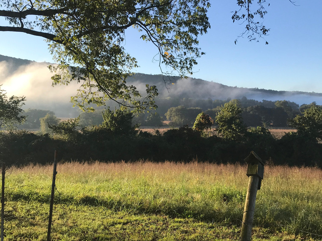 The Stovall House Inn & Events主图