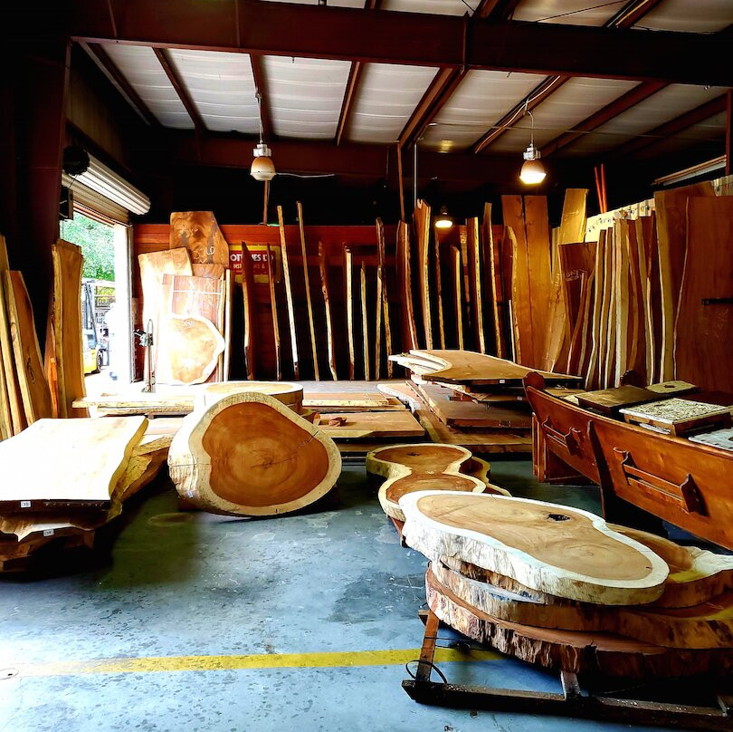 Tampa Bay Salvage-塔彭斯普林斯必去景点