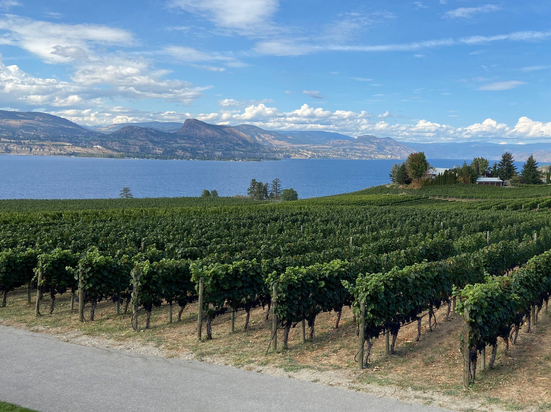 Moraine Estate Winery景点图片