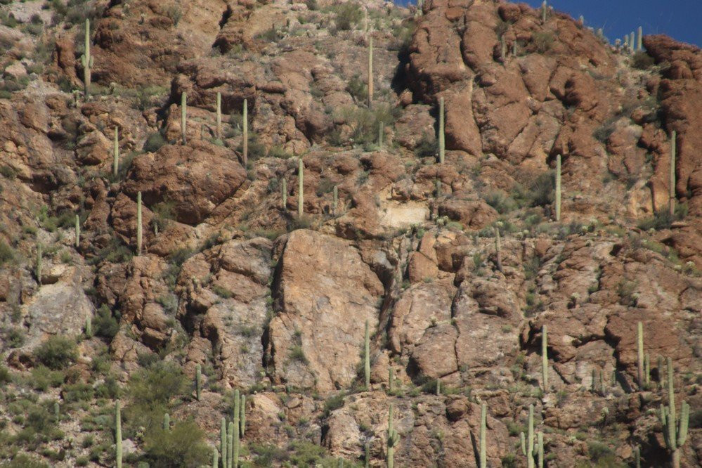 Tucson Mountain Park West景点图片