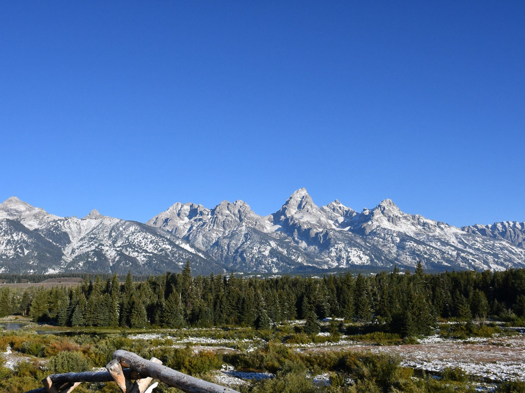 Blacktail Ponds Overlook景点图片