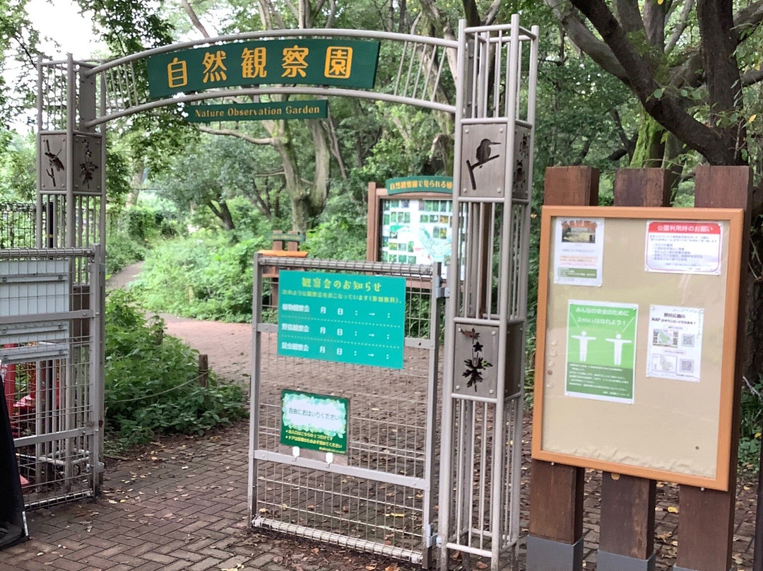 Nogawa Park Nature Observation Garden景点图片