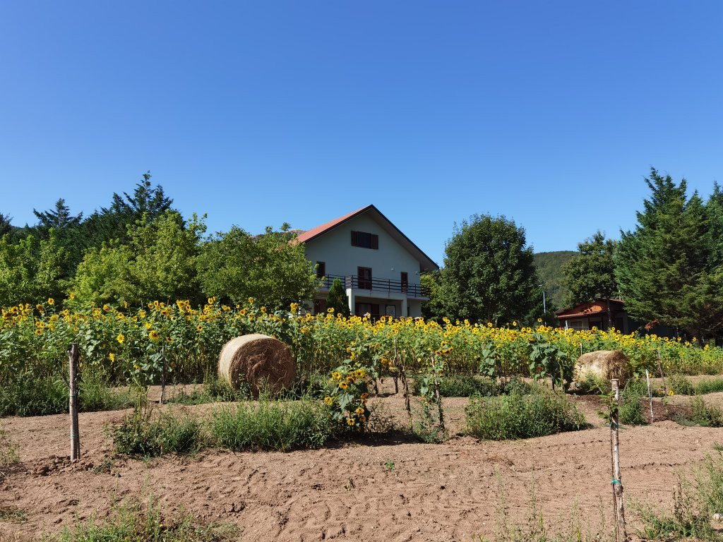 Green House B&B主图