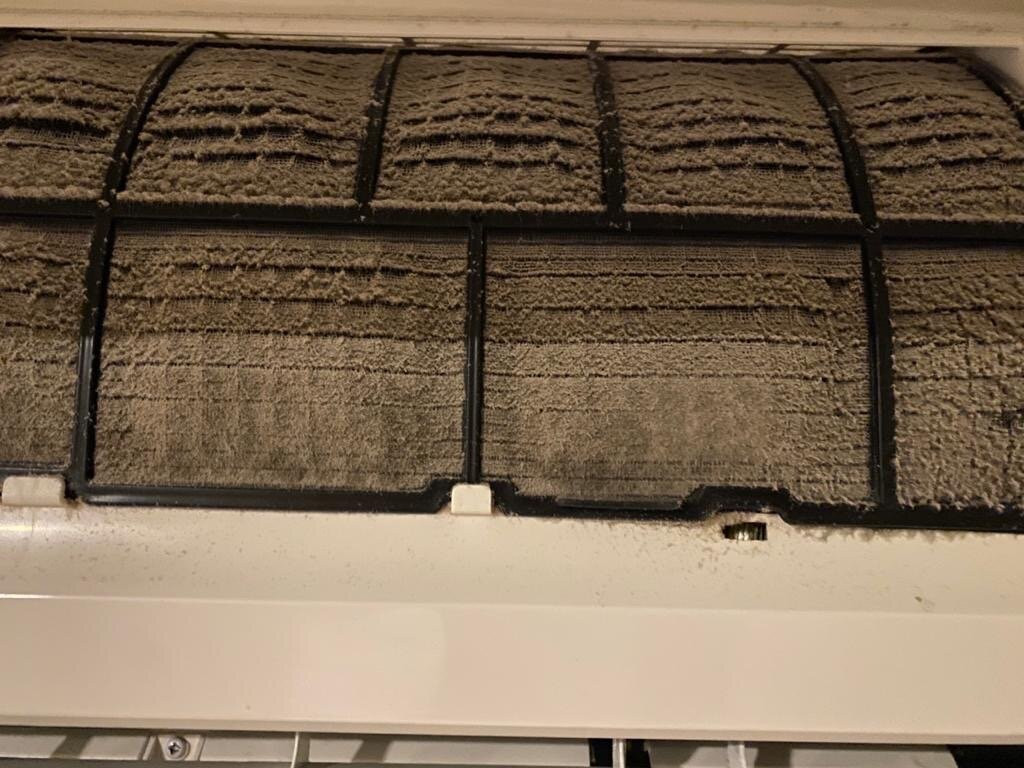 Vida Plaza Hotel主图