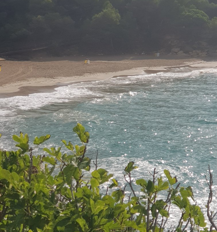 Cala Canyadell景点图片
