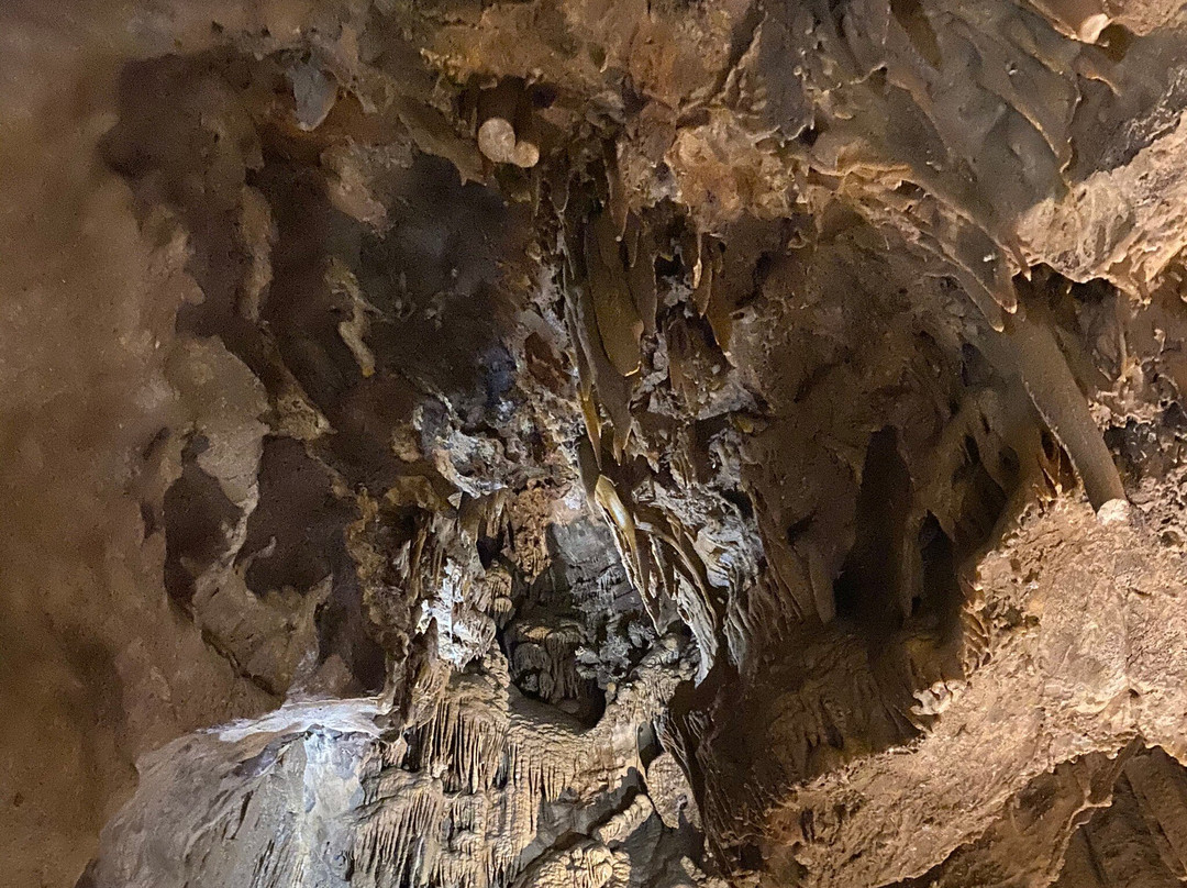 Shasta Lake-沙斯塔湖必去景点