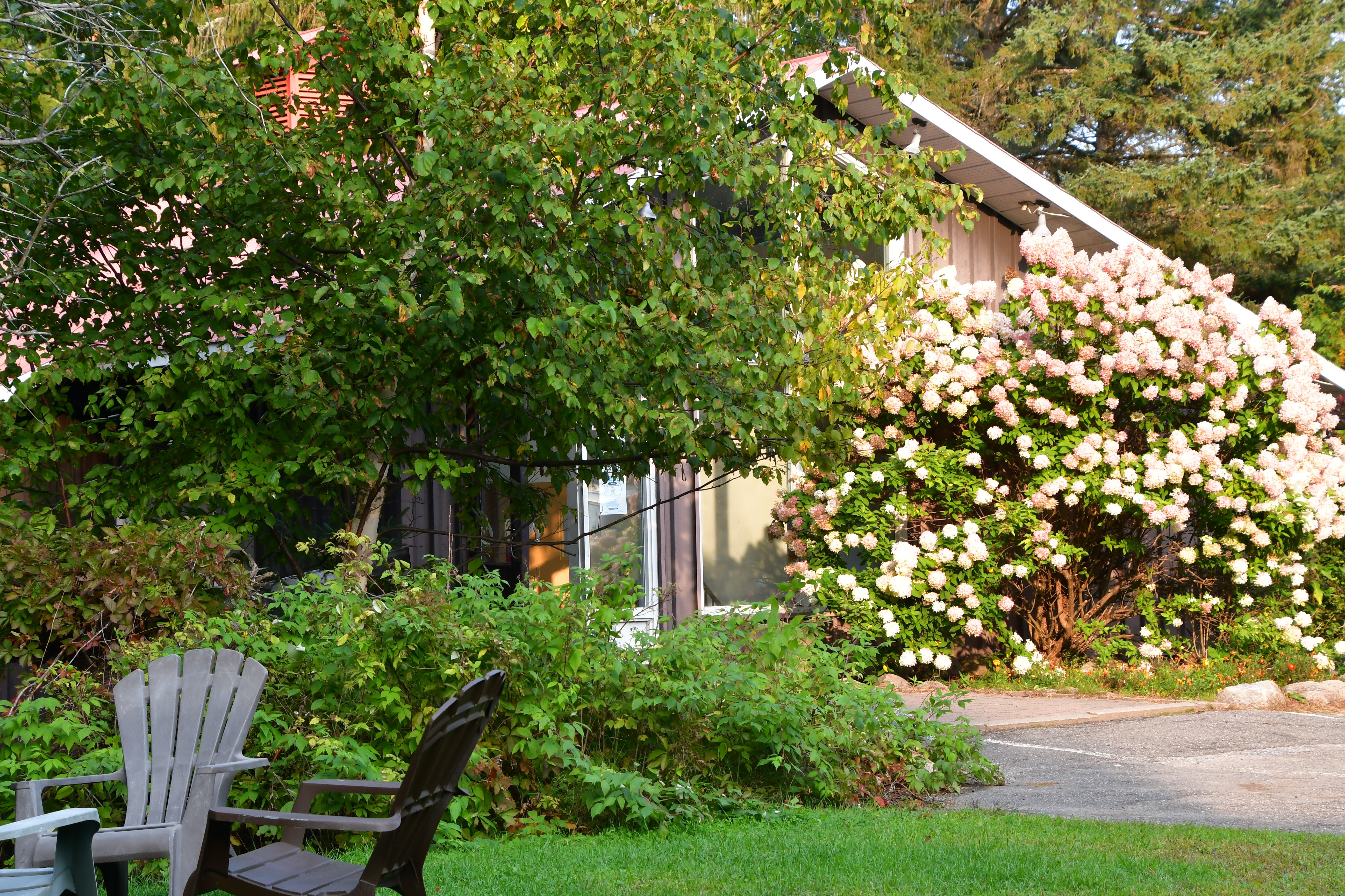 Auberge Mountain View Inn-浴室