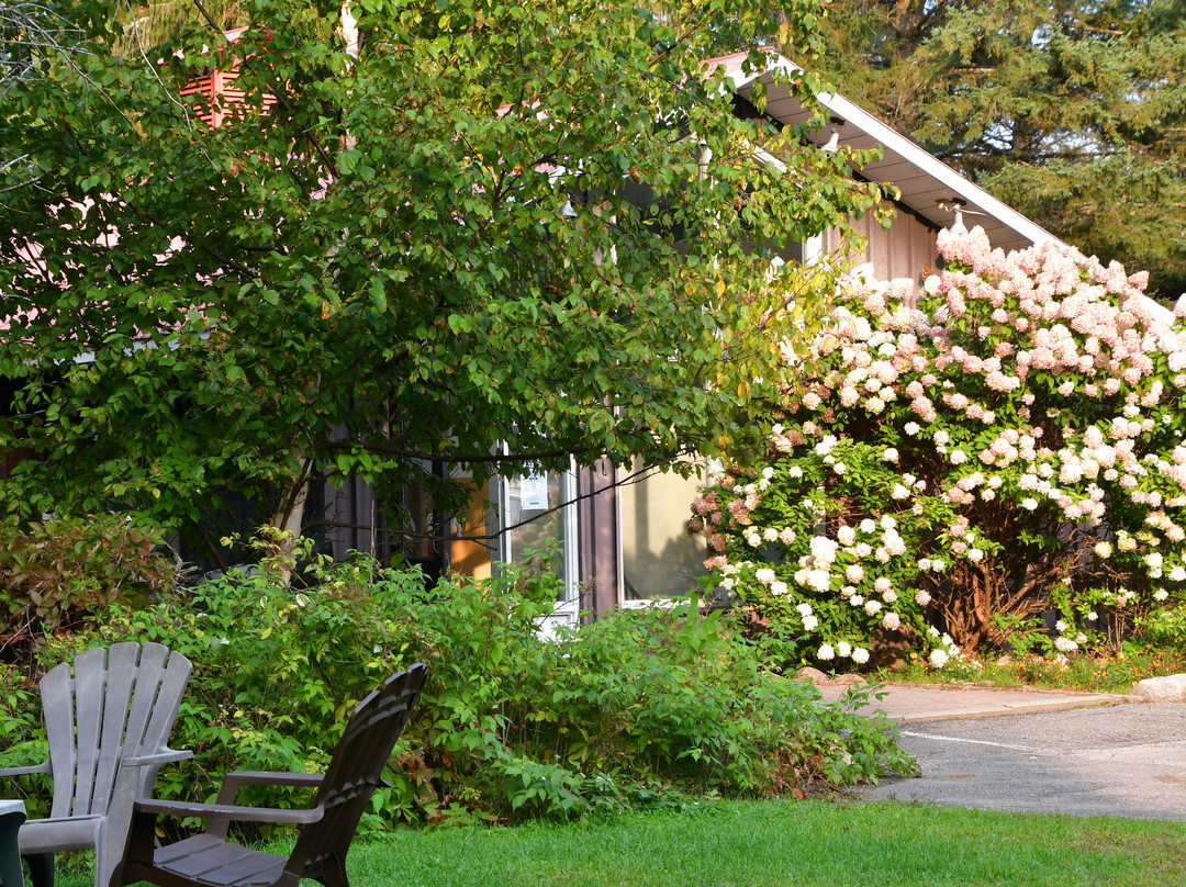 Auberge Mountain View Inn主图