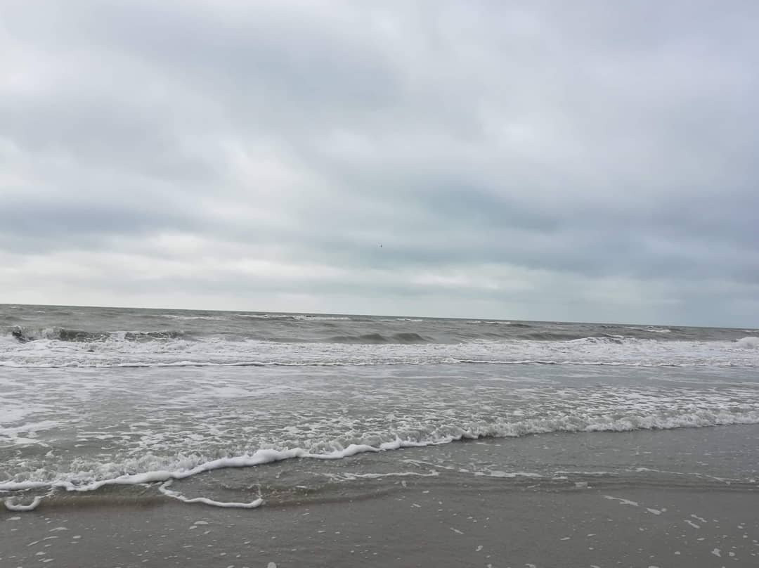 Plage de Fort-Mahon景点图片