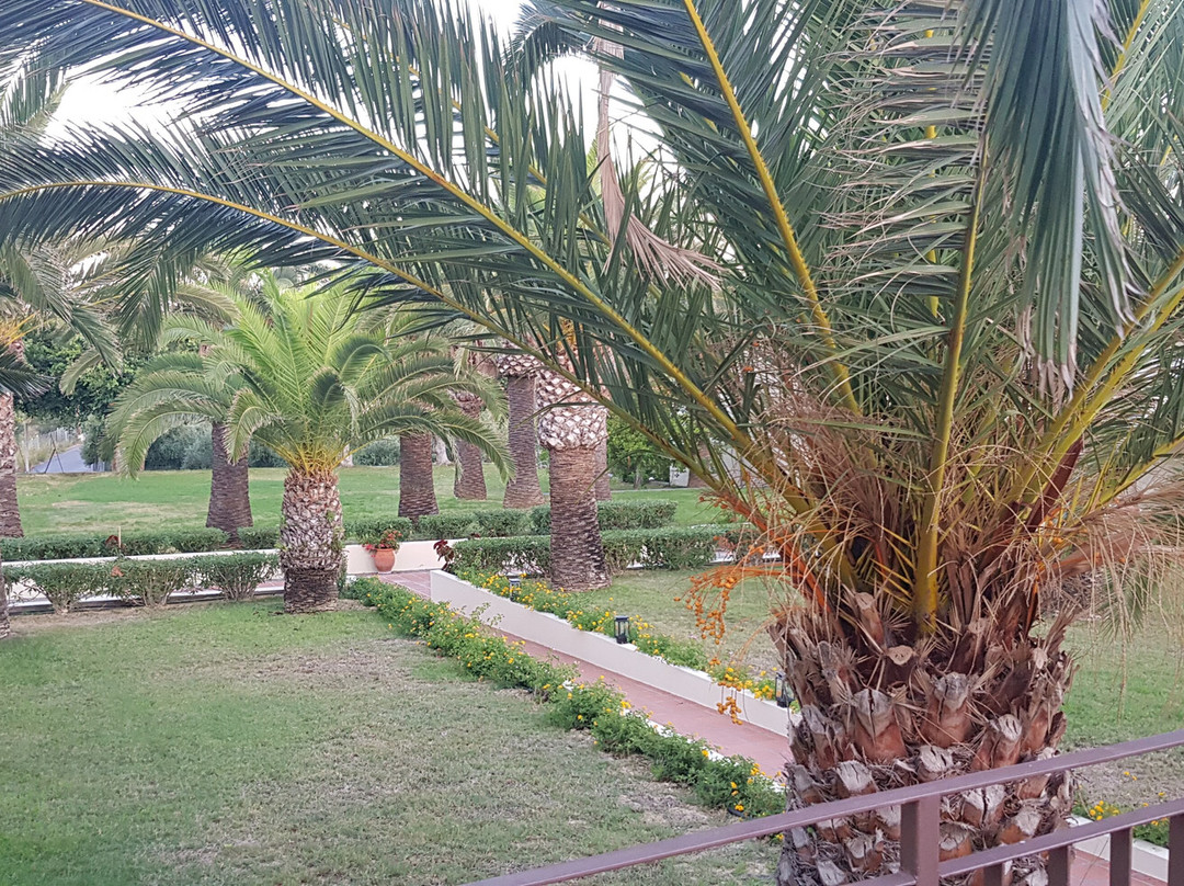 Eleftheria Hotel主图