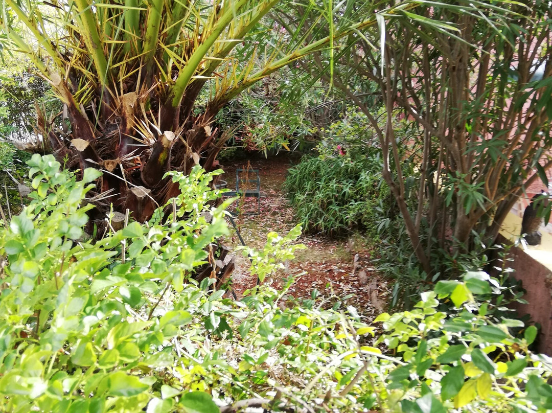 Hotel Abbaruja主图