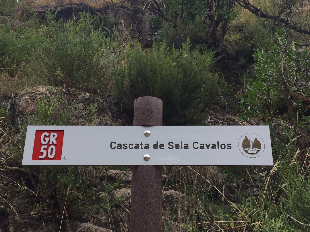 Pincaes Cascate景点图片