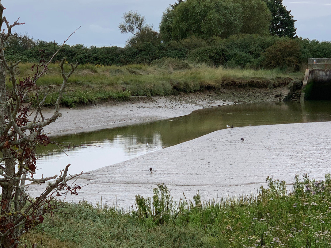 Pagham Harbour Local Nature Reserve景点图片