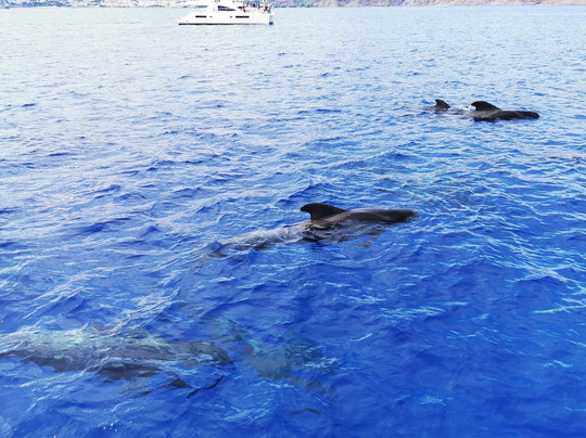 Ventura Nature Emotions-沙尔必去景点