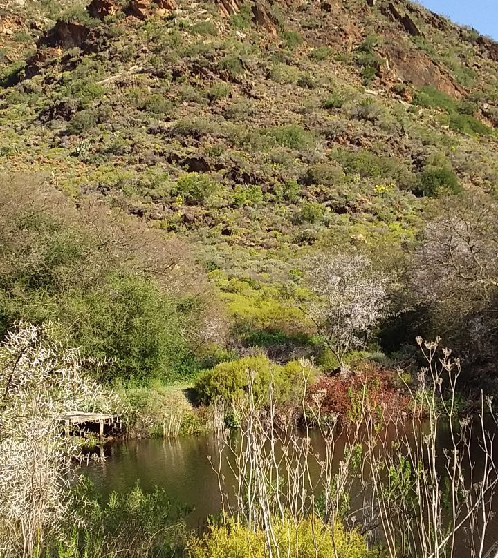 Buitenstekloof Mountain Cottages