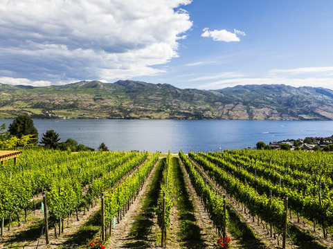 unWINEd Tours-弗农必去景点