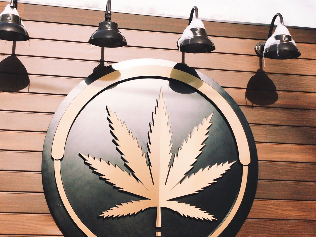 The Medicine Box-Oka必去景点