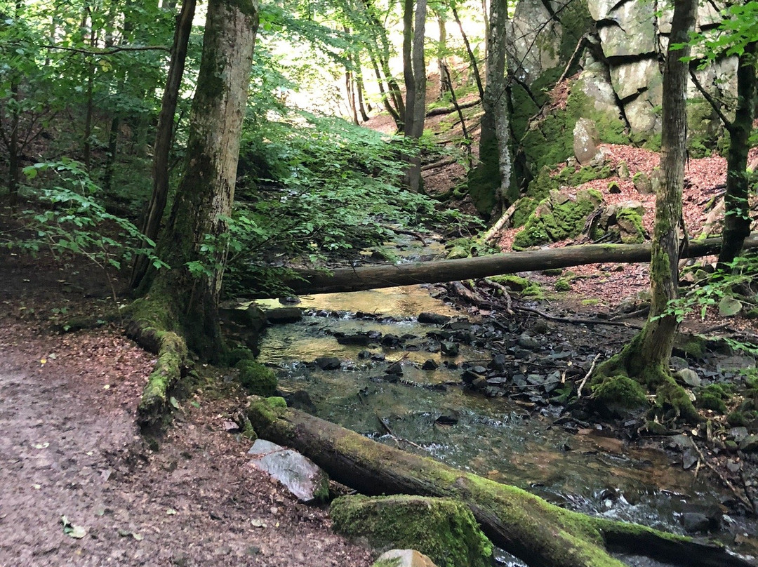 Forsakar Nature Reserve-Degeberga必去景点