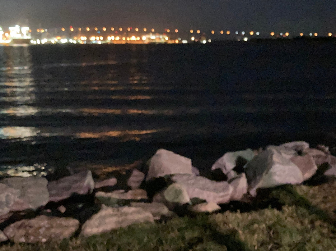 Riverfront Park景点图片