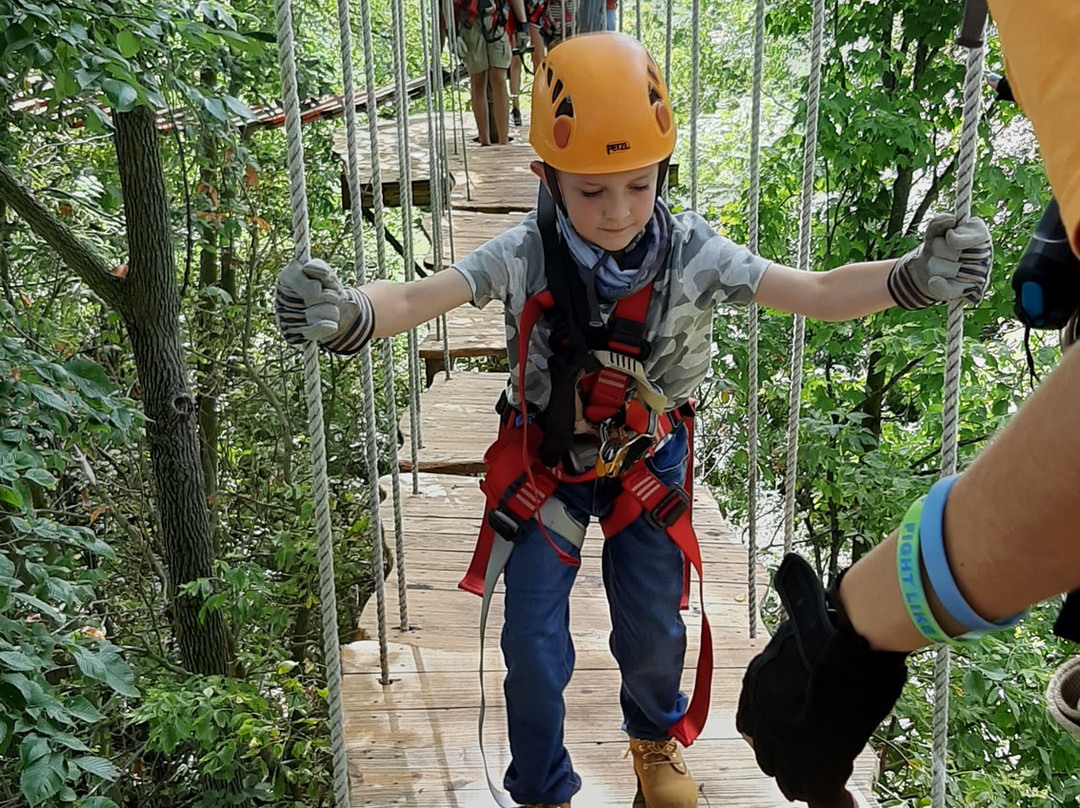 Zip Timber Lake景点图片