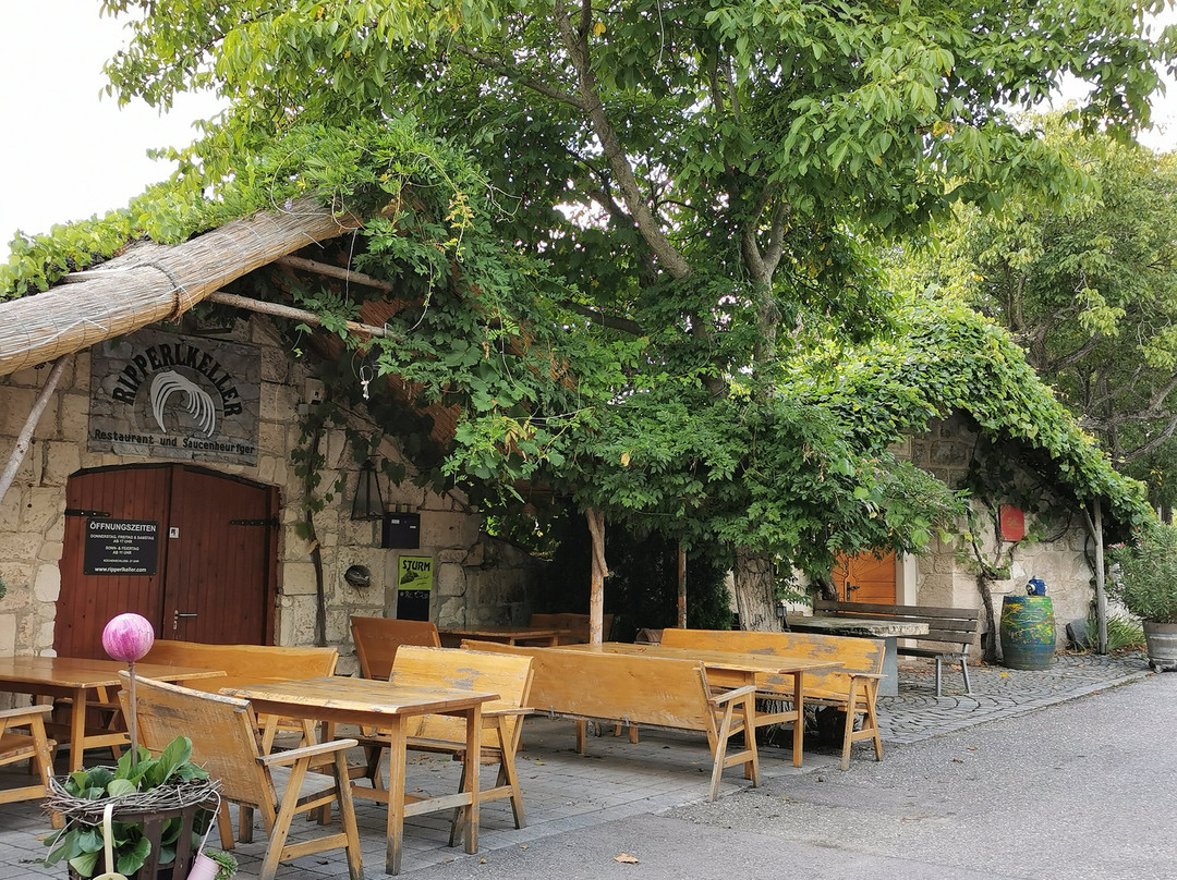 Kellergasse Purbach-Purbach am Neusiedlersee必去景点
