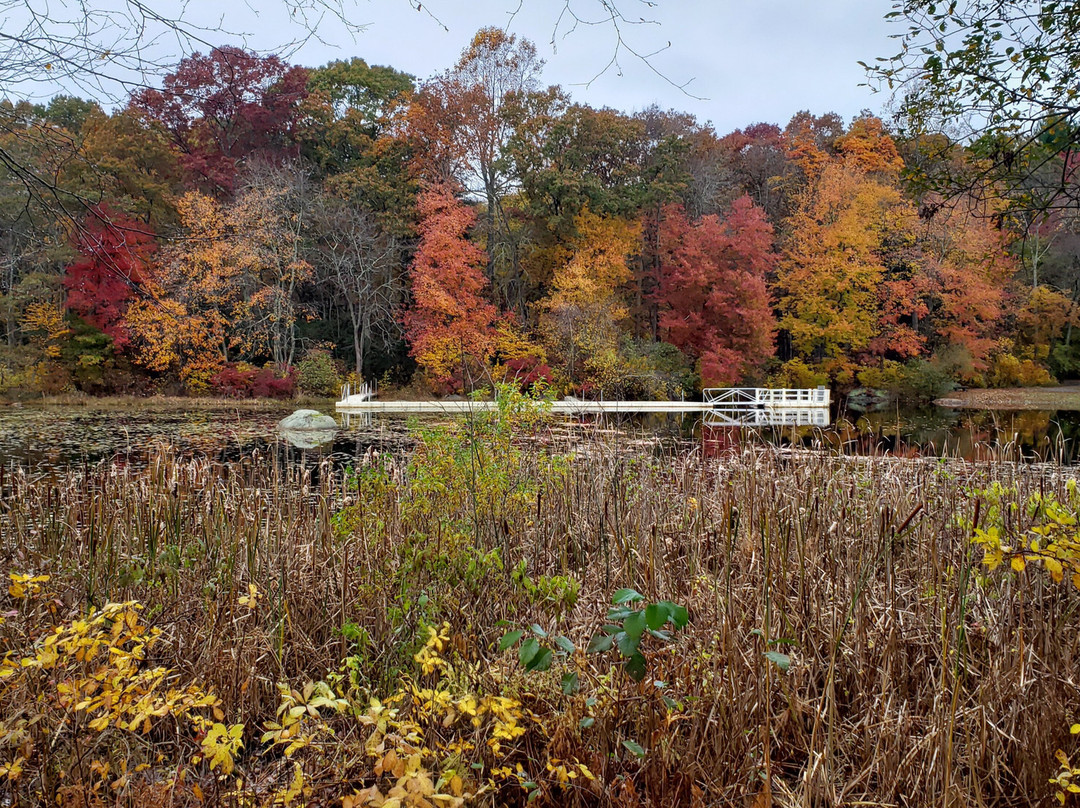 Connecticut College Arboretum景点图片