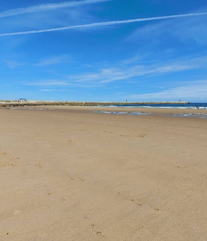 Rosebank Guest House主图