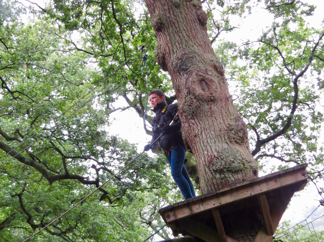 Trentham Treetop Adventures-Trentham必去景点