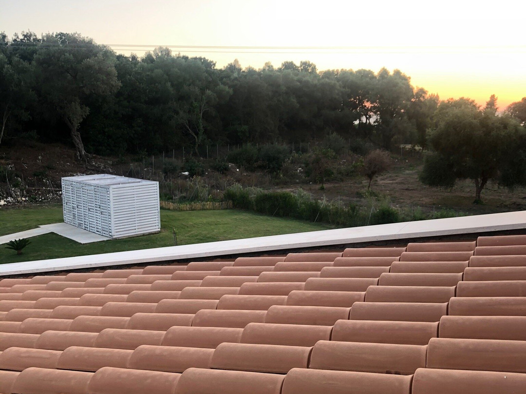 Olivista Hotel主图