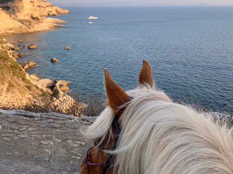 EQUI'LIBRE Bonifacio-博尼法乔必去景点