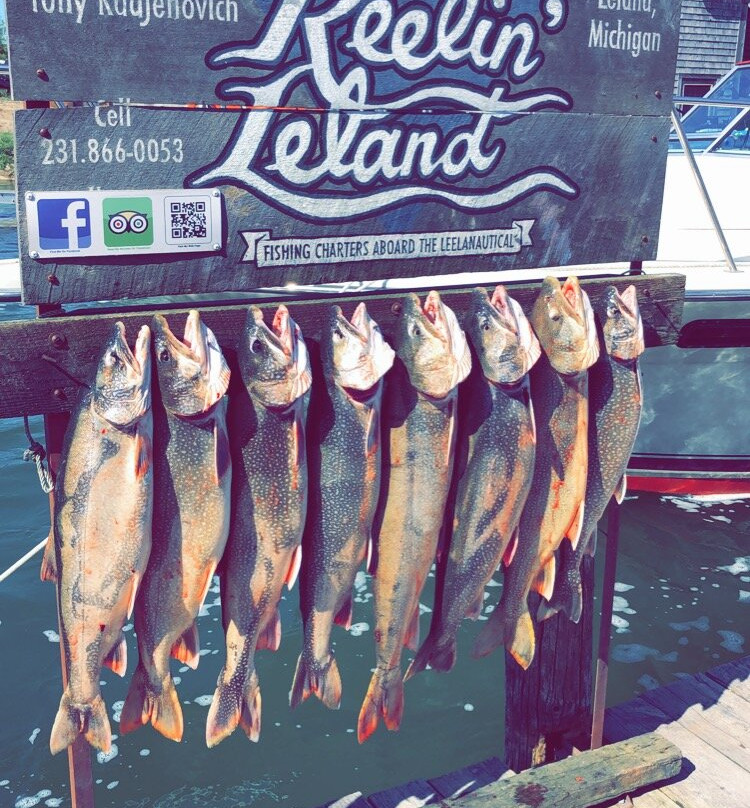 Reelin Leland Fishing Charters景点图片