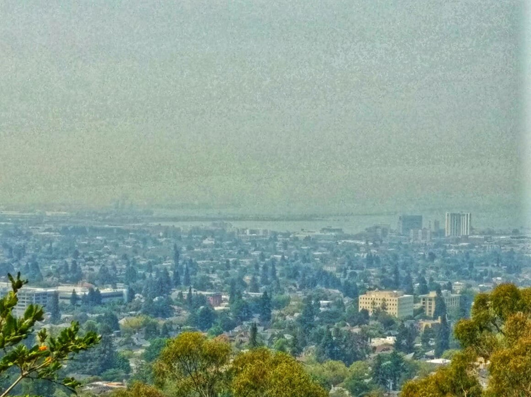 Berkeley Fire Trails-伯克利必去景点