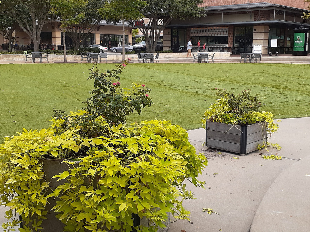 WFDD Central Green Park-卡蒂必去景点