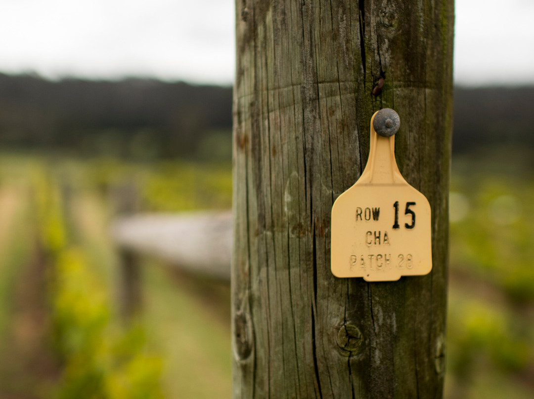 Bay of Fires Wines-Pipers River必去景点